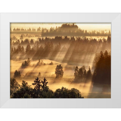 Fog impression at Sindelbachfilz, Bavaria, Germany White Modern Wood Framed Art Print by Krahmer, Frank