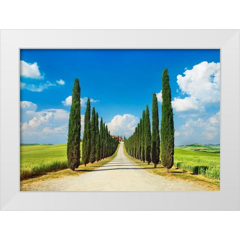 Cypress alley- San Quirico dOrcia- Tuscany White Modern Wood Framed Art Print by Krahmer, Frank