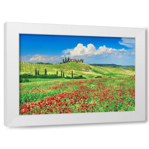 Farmhouse with Cypresses and Poppies- Val dOrcia- Tuscany  White Modern Wood Framed Art Print by Krahmer, Frank