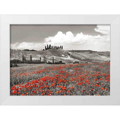 Farmhouse with Cypresses and Poppies- Val dOrcia- Tuscany (BW) White Modern Wood Framed Art Print by Krahmer, Frank