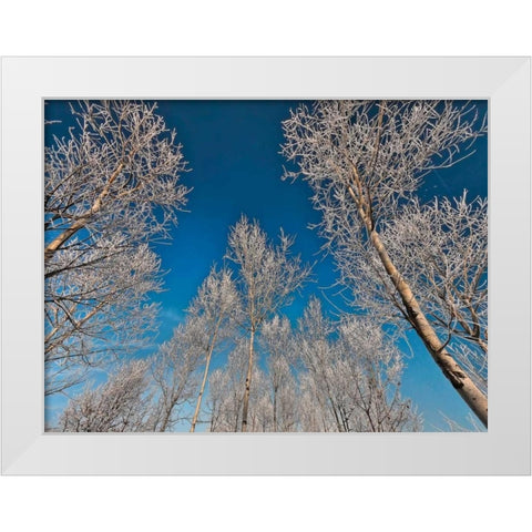 Sottozero White Modern Wood Framed Art Print by Ferrua, Fulvio