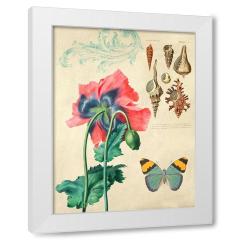 Cabinet of Curiosities n. 3 White Modern Wood Framed Art Print by Joannoo