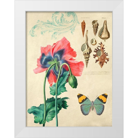Cabinet of Curiosities n. 3 White Modern Wood Framed Art Print by Joannoo