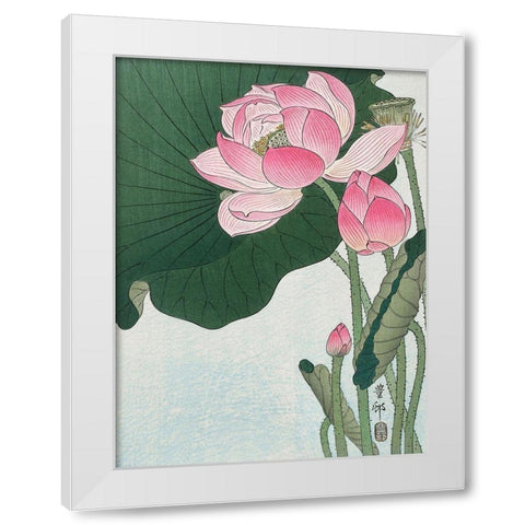 Blooming lotus flowers White Modern Wood Framed Art Print by Koson, Ohara