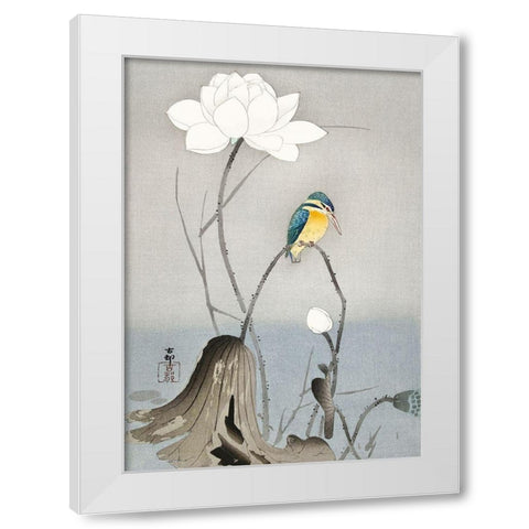 Kingfisher with Lotus Flower White Modern Wood Framed Art Print by Koson, Ohara