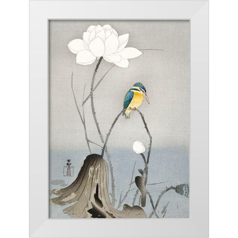 Kingfisher with Lotus Flower White Modern Wood Framed Art Print by Koson, Ohara