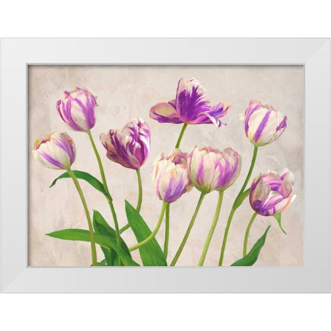 Tulipes White Modern Wood Framed Art Print by Thomlinson, Jenny