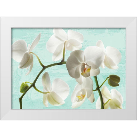 Celadon Orchids White Modern Wood Framed Art Print by Jenny, Thomlinson