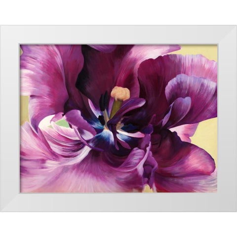 Purple tulip close-up White Modern Wood Framed Art Print by Villa, Luca