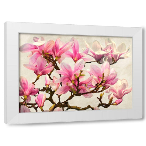 Magnolia Branch - neutral White Modern Wood Framed Art Print by Villa, Luca