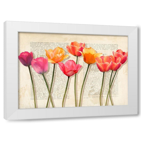 Fleurs et Histoires White Modern Wood Framed Art Print by Villa, Luca