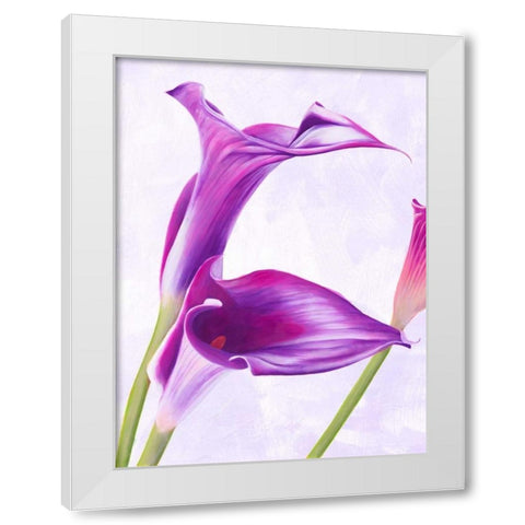 Duet I White Modern Wood Framed Art Print by Villa, Luca