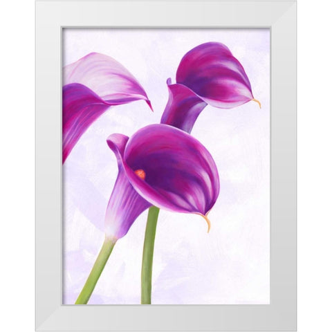 Duet II White Modern Wood Framed Art Print by Villa, Luca