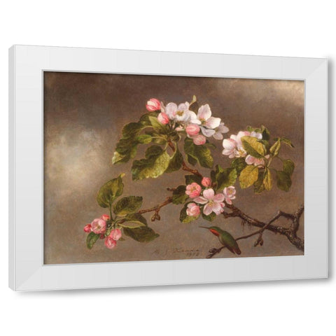 Hummingbird and Apple Blossoms  White Modern Wood Framed Art Print by Heade, Martin Johnson