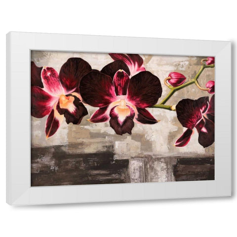 Velvet Orchids White Modern Wood Framed Art Print by Mills, Shin