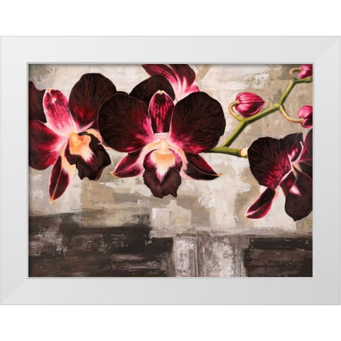 Velvet Orchids White Modern Wood Framed Art Print by Mills, Shin