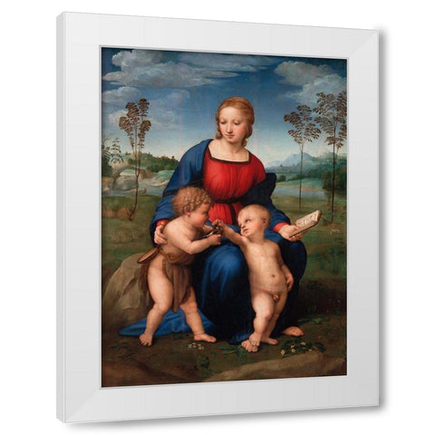 Madonna del cardellino White Modern Wood Framed Art Print by Raffaello