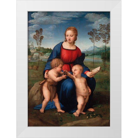Madonna del cardellino White Modern Wood Framed Art Print by Raffaello