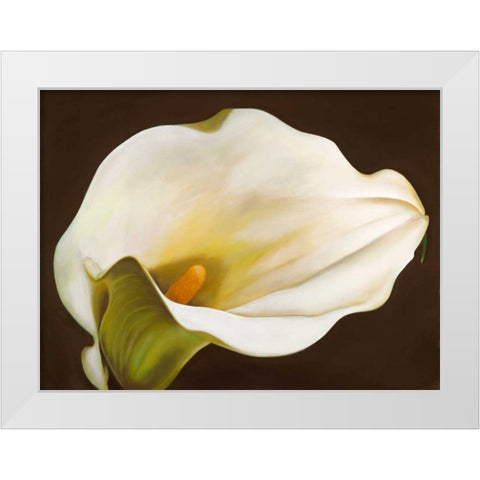 Calla White Modern Wood Framed Art Print by Biffi, Serena