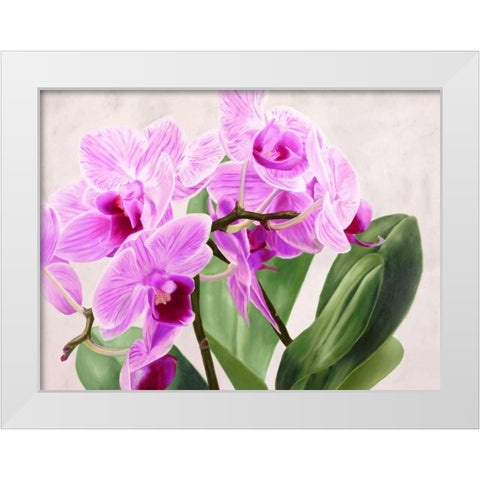 Orchidee selvagge White Modern Wood Framed Art Print by Jannace, Sergio