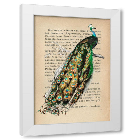 Indian peafowl- After DOrbigny White Modern Wood Framed Art Print by Lamanche, Stef