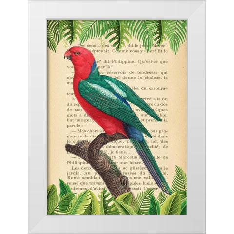 The Australian king parrot- After Levaillant White Modern Wood Framed Art Print by Lamanche, Stef