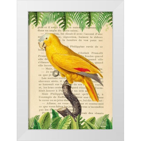 The Blue-Fronted Parrot- After Levaillant White Modern Wood Framed Art Print by Lamanche, Stef