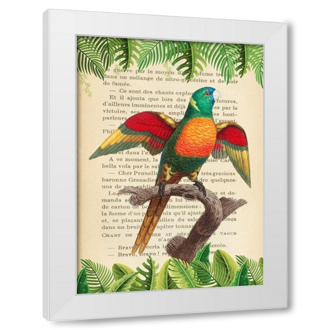 The Blue-Headed Parrot- After Levaillant White Modern Wood Framed Art Print by Lamanche, Stef