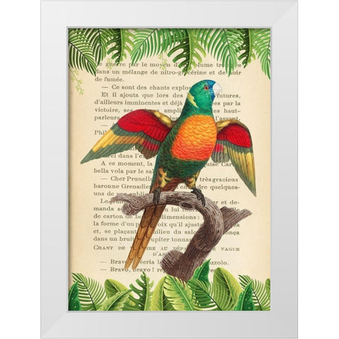 The Blue-Headed Parrot- After Levaillant White Modern Wood Framed Art Print by Lamanche, Stef