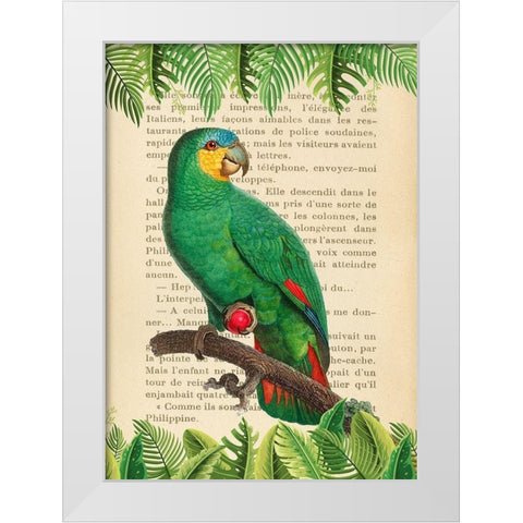 The Orange-Winged Amazon- After Levaillant White Modern Wood Framed Art Print by Lamanche, Stef