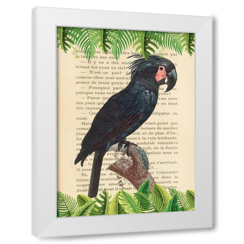 The Palm Cockatoo- After Levaillant White Modern Wood Framed Art Print by Lamanche, Stef