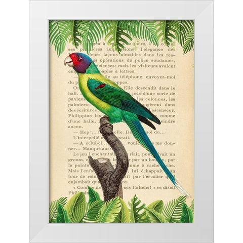 The Plum-Headed Parakeet- After Levaillant White Modern Wood Framed Art Print by Lamanche, Stef