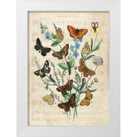European Butterflies- After Kirby White Modern Wood Framed Art Print by Lamanche, Stef
