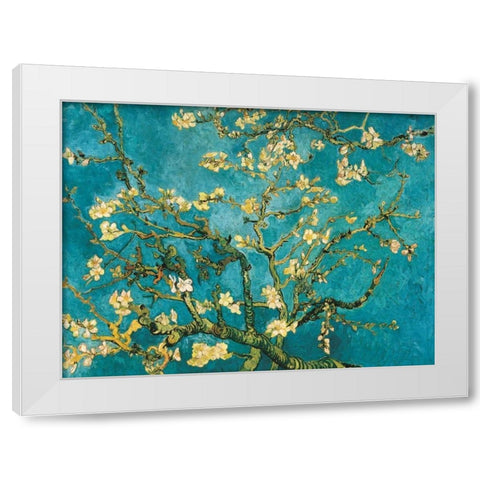 Mandorlo in fiore White Modern Wood Framed Art Print by Van Gogh, Vincent