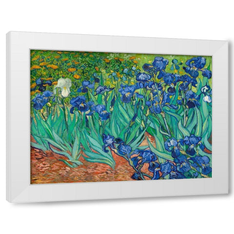 Irises White Modern Wood Framed Art Print by Van Gogh, Vincent