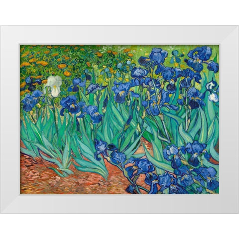 Irises White Modern Wood Framed Art Print by Van Gogh, Vincent