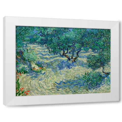 Olive Orchard White Modern Wood Framed Art Print by Van Gogh, Vincent