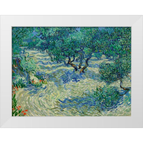 Olive Orchard White Modern Wood Framed Art Print by Van Gogh, Vincent