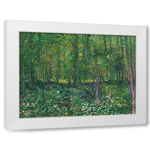 Trees and undergrowth White Modern Wood Framed Art Print by van Gogh, Vincent
