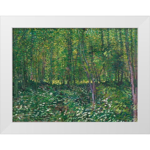 Trees and undergrowth White Modern Wood Framed Art Print by van Gogh, Vincent