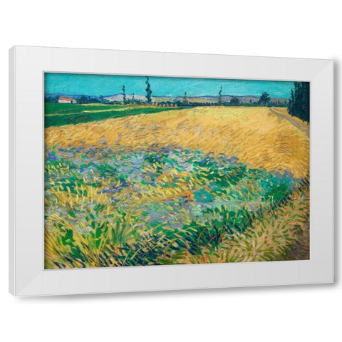 Wheatfield White Modern Wood Framed Art Print by van Gogh, Vincent