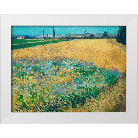 Wheatfield White Modern Wood Framed Art Print by van Gogh, Vincent