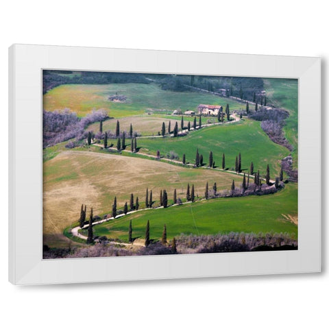 Road near Montepulciano Tuscany White Modern Wood Framed Art Print by Ratsenskiy, Vadim