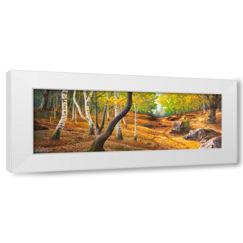 Sentiero nel bosco White Modern Wood Framed Art Print by Galasso, Adriano