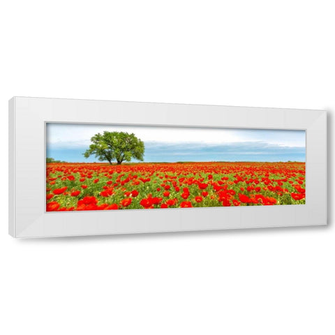 Tree in a poppy field White Modern Wood Framed Art Print by Anonymous