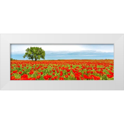 Tree in a poppy field White Modern Wood Framed Art Print by Anonymous