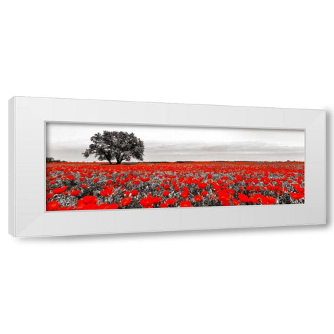Tree in a poppy field White Modern Wood Framed Art Print by Anonymous