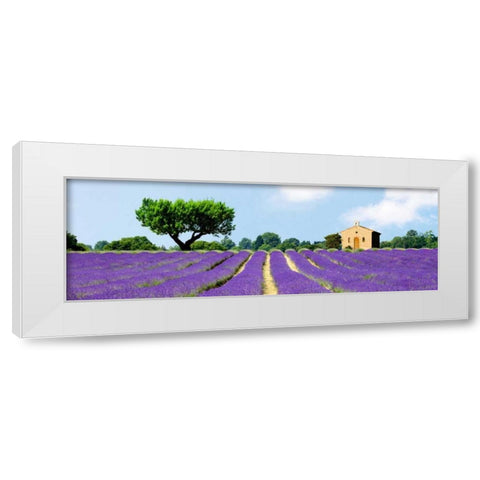Lavender Fields, France White Modern Wood Framed Art Print by Pangea Images