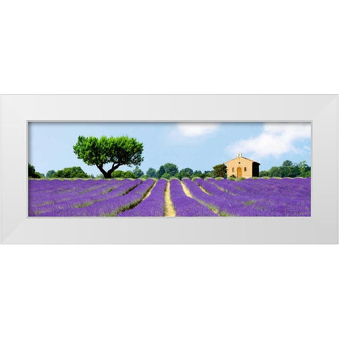 Lavender Fields, France White Modern Wood Framed Art Print by Pangea Images