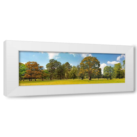 Trees in a Park White Modern Wood Framed Art Print by Pangea Images